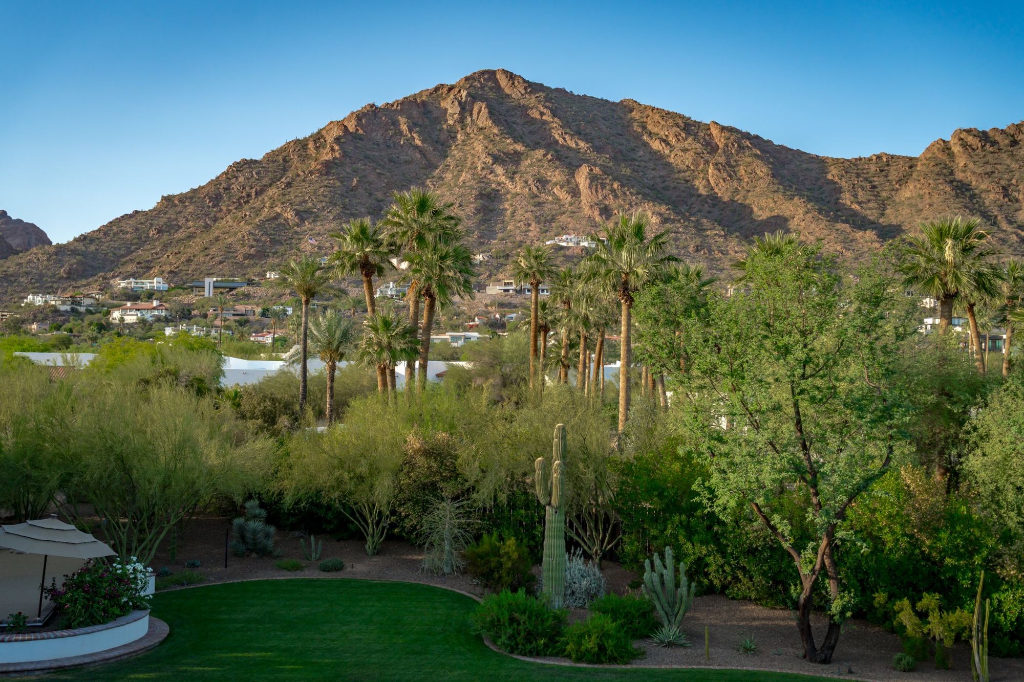 Camelback Mountain rising over palms and desert landscaping in Phoenix